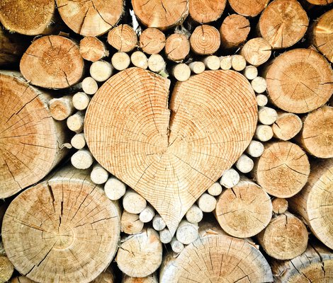 Logs stacked in a heart shape | © SOLARFOCUS